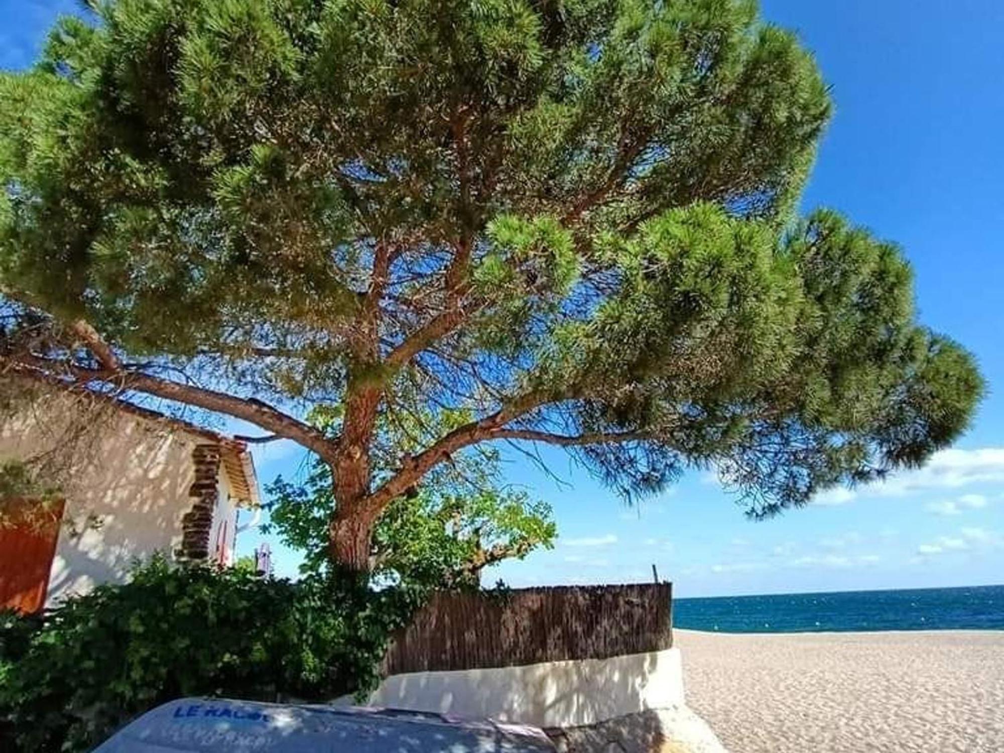 Pavillon 6 Pers A Argeles-Sur-Mer: Piscine, Clim, Parking, Wifi, Proche Plage - Fr-1-776-5 Buitenkant foto